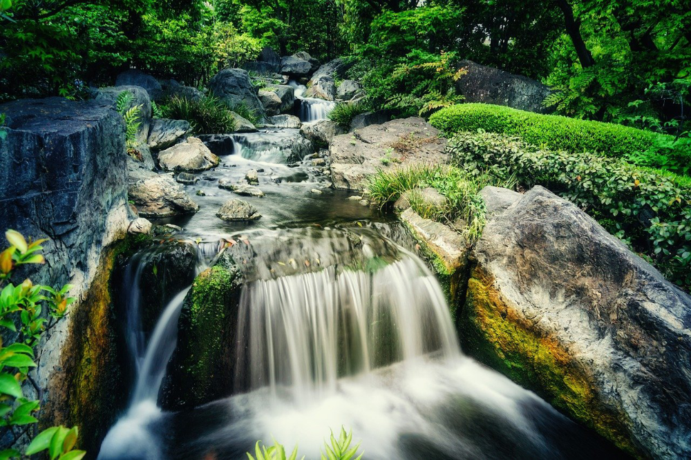stream in the forest