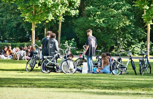 young people sitting on grass in a park